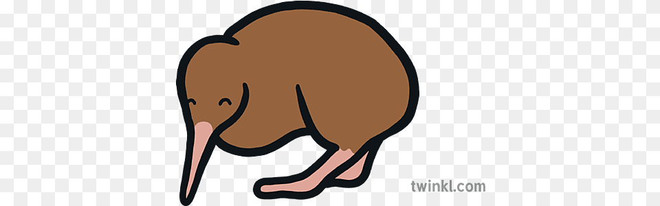 Kiwi Map Icon New Zealand Bird Flightless Eyfs Illustration Animal Figure, Kiwi Bird Free Png