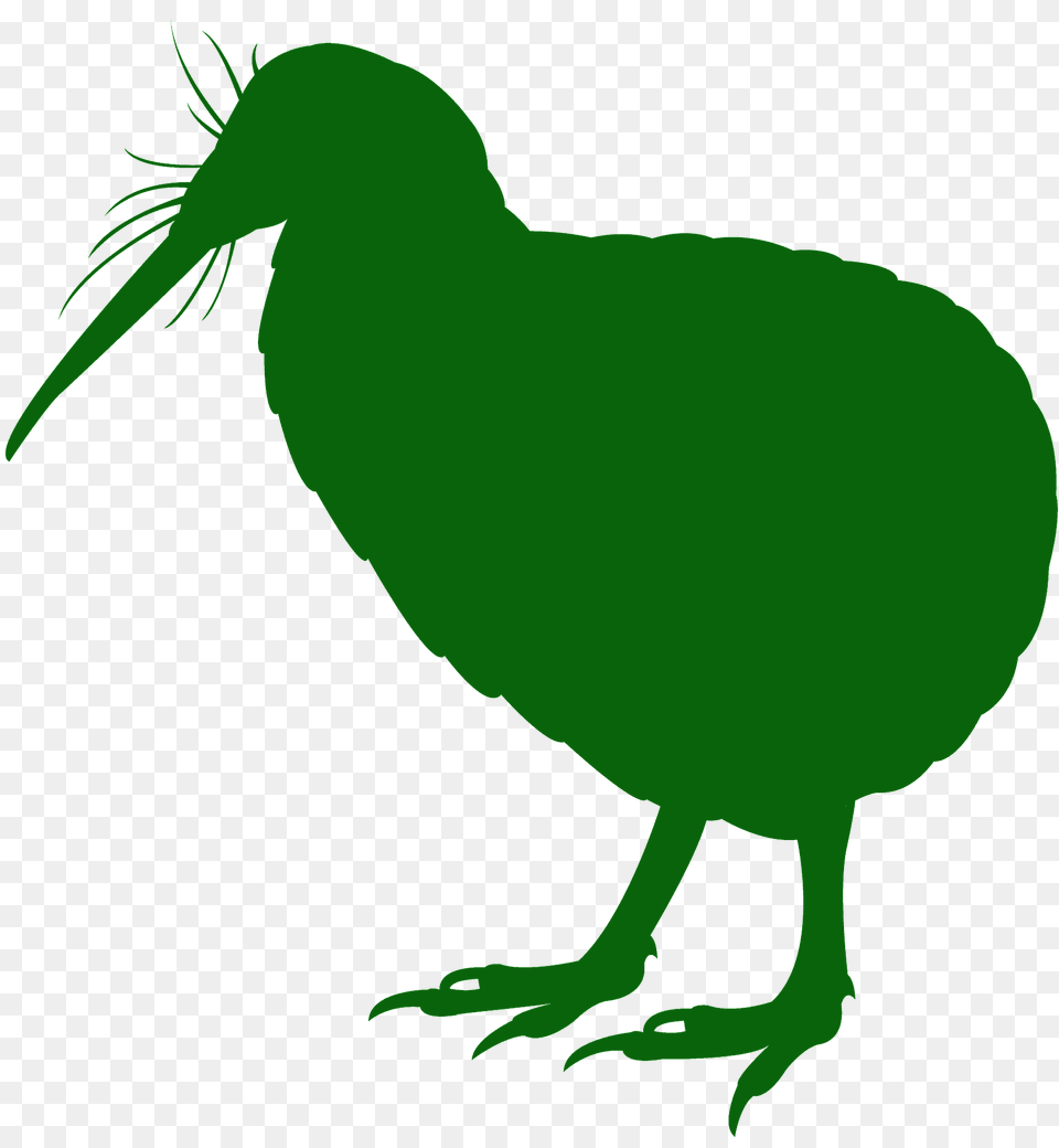 Kiwi Silhouette, Animal, Bird, Kiwi Bird, Kangaroo Free Transparent Png
