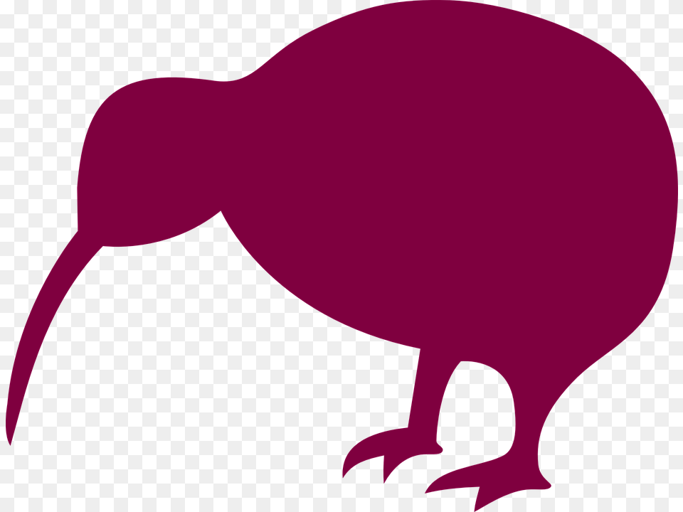 Kiwi Silhouette, Animal, Bird, Kiwi Bird, Baby Free Transparent Png