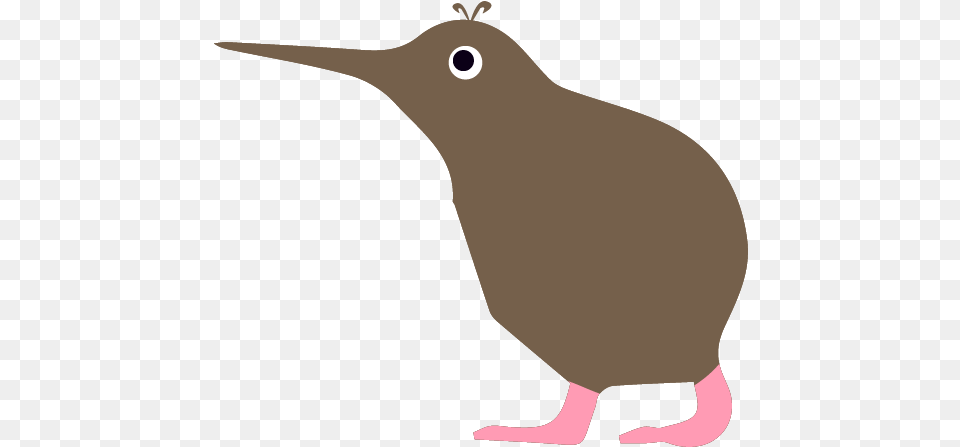 Kiwi Sisi Yu Hummingbird, Animal, Beak, Bird, Kiwi Bird Png