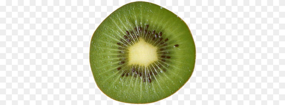 Kiwi Slice Kiwi, Food, Fruit, Plant, Produce Free Transparent Png