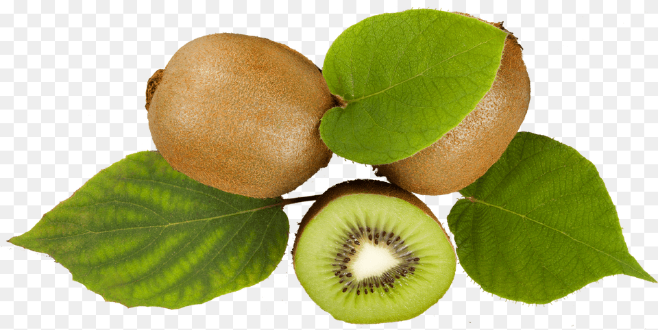 Kiwifruit, Food, Fruit, Kiwi, Plant Png