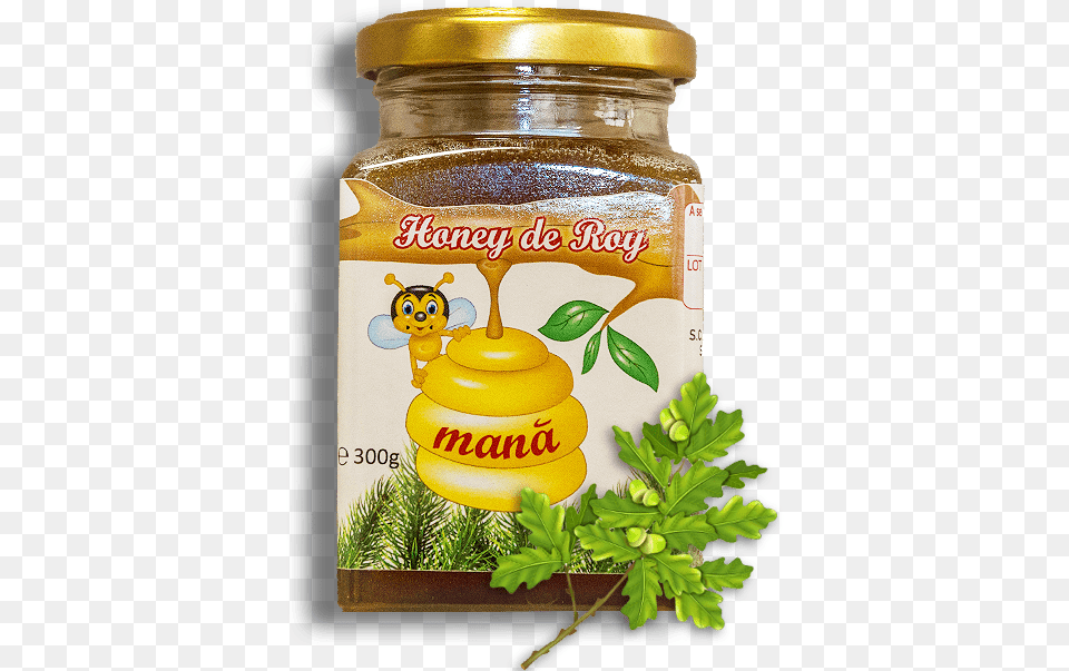 Kiwifruit, Jar, Food, Honey Png Image