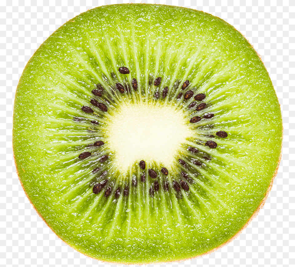 Kiwifruit Actinidia Deliciosa Hardy Kiwi Vegetable Rondelle Kiwi, Food, Fruit, Plant, Produce Png Image