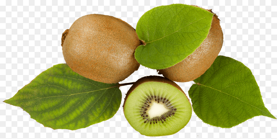 Kiwifruit Extract Contains Around 60 Of Alpha Linolenic Kiwifruit, Food, Fruit, Kiwi, Plant Free Transparent Png