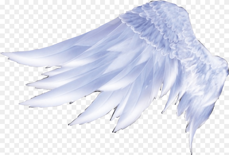 Klaassyarts Custom Order For Carrie Glass Beaded Flower, Angel, Animal, Bird, Vulture Png