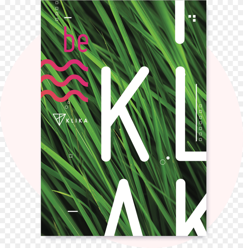 Klika Language, Grass, Plant, Book, Publication Free Png Download