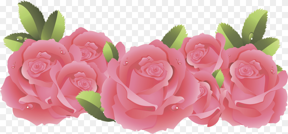 Klipart Beautiful Flowers Frame Flower Pink Border, Plant, Rose, Petal, Carnation Png Image