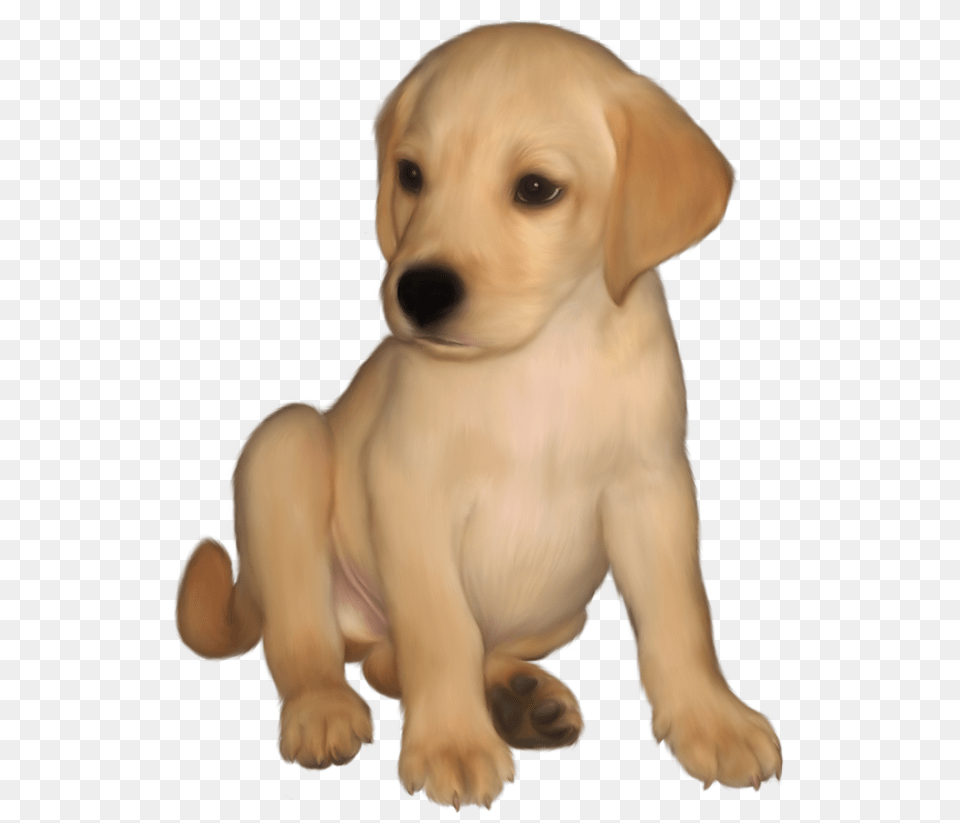 Klipart Labrador Labrador, Animal, Canine, Dog, Mammal Free Png Download