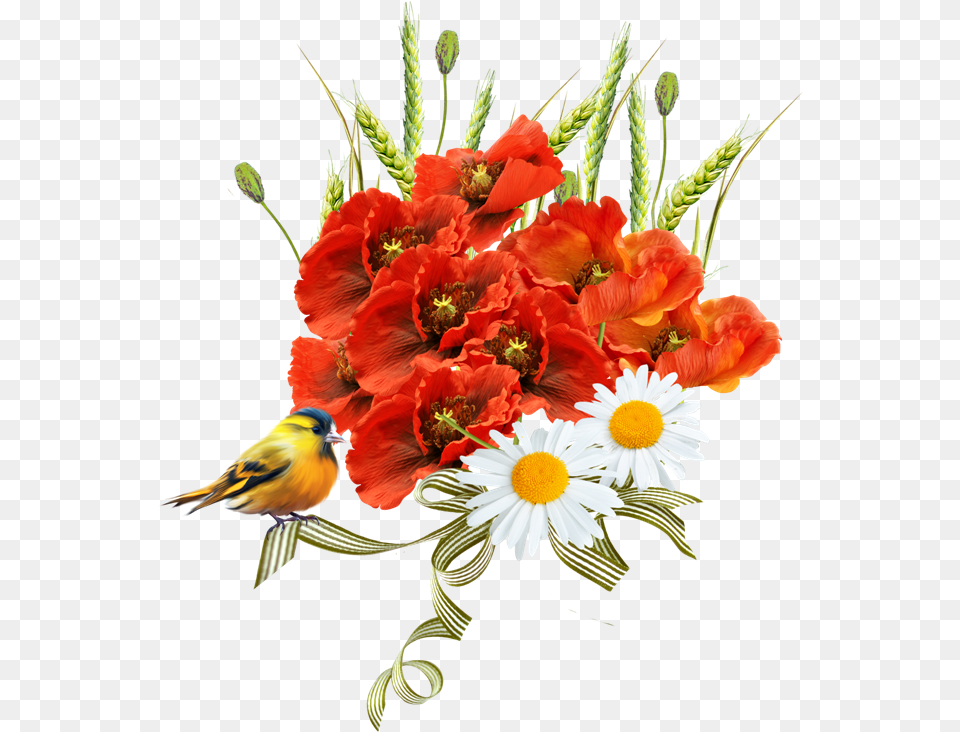 Klipart Maki Na Prozrachnom Fone, Plant, Petal, Flower Bouquet, Flower Arrangement Free Png Download
