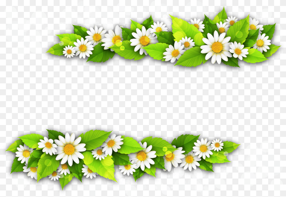 Klipart Quotbeautiful Flowersquot Chamomile, Accessories, Daisy, Flower, Flower Arrangement Free Png