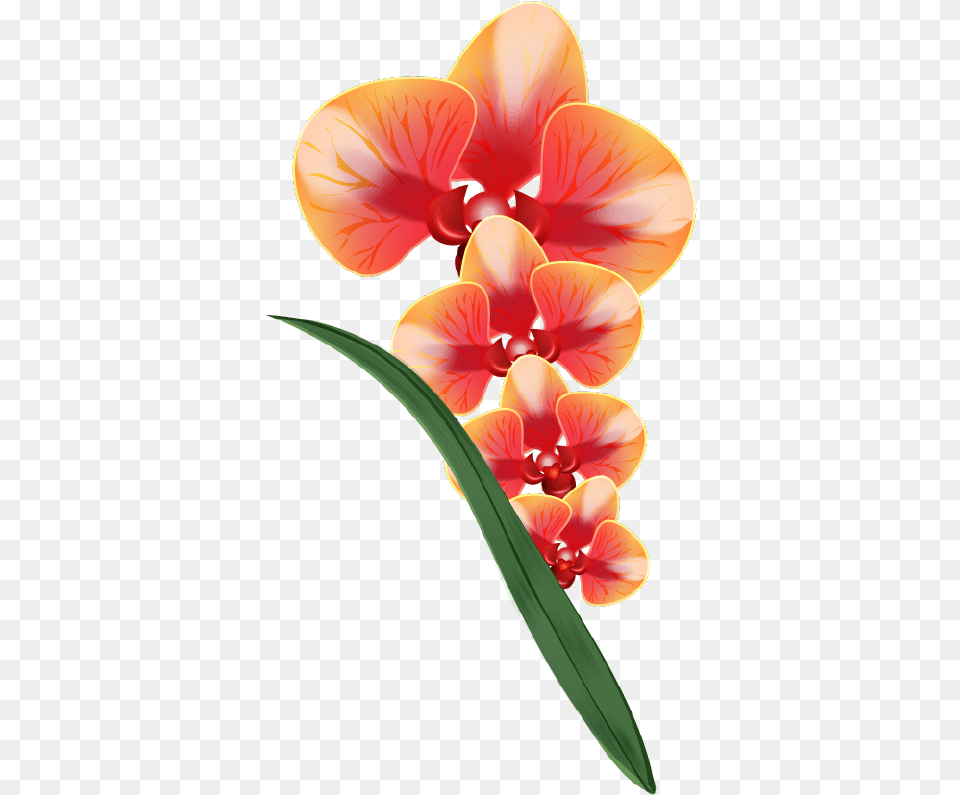 Klipart Quotrealistic Vector Delicate Orchidsquot Clip Art, Flower, Petal, Plant, Orchid Png