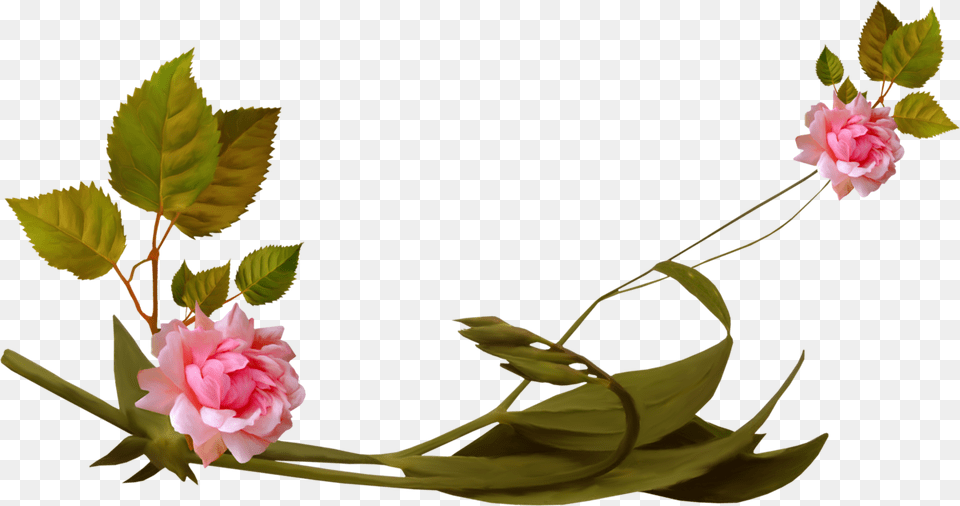 Kliparti Na Prozrachnom Fone Clip Art, Flower, Flower Arrangement, Plant, Rose Free Transparent Png