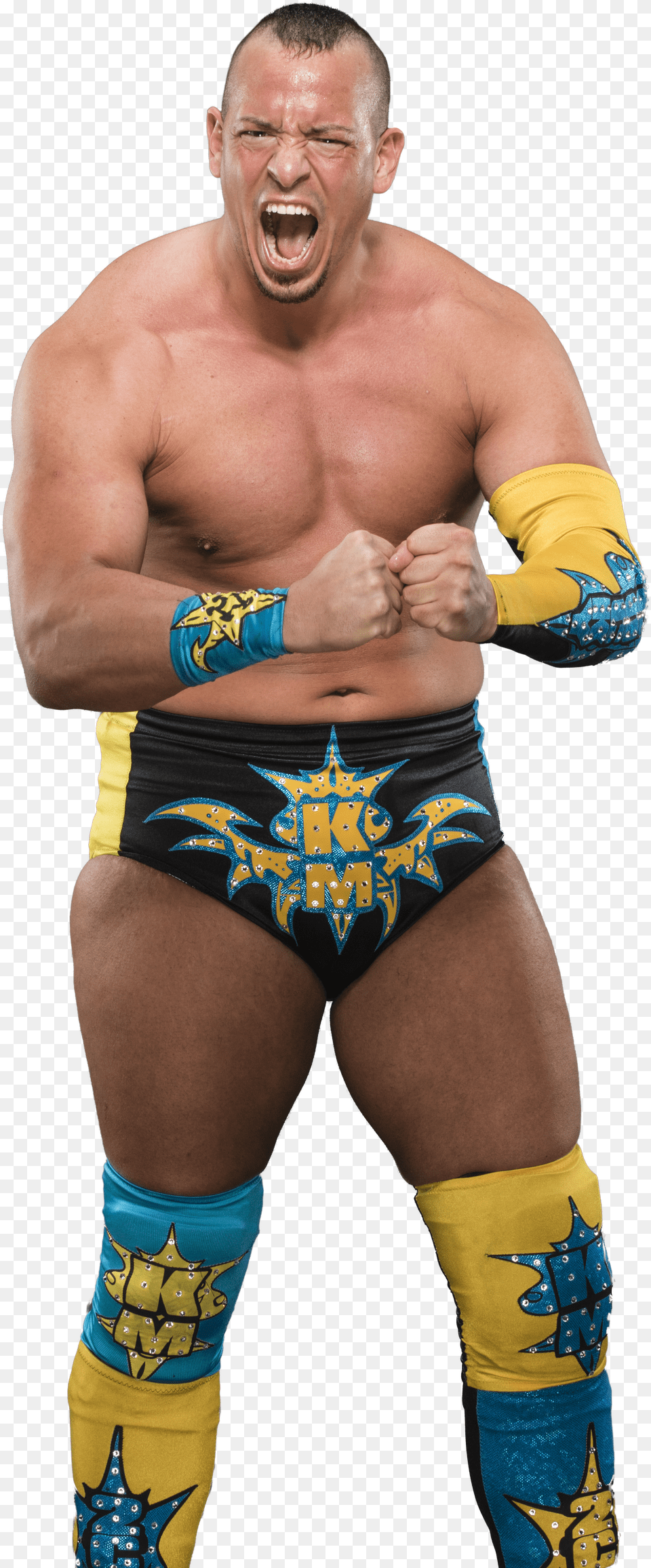 Km Impact Wrestling, Computer, Electronics, Disk Png Image