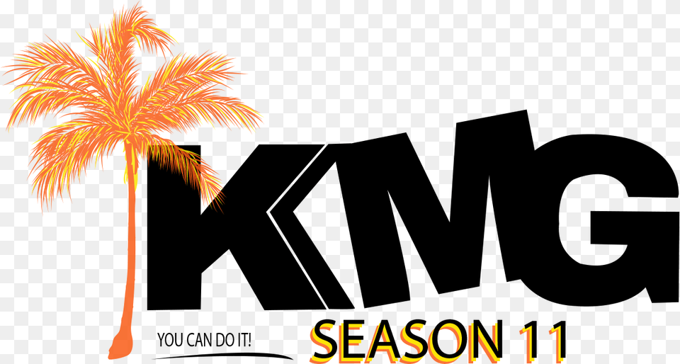 Kmg Show Graphic Design, Palm Tree, Plant, Tree, Fireworks Png Image