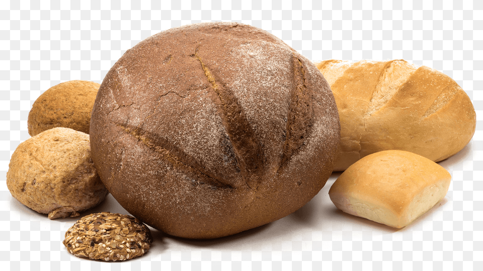 Knead Bakery Sourdough, Bread, Bun, Food Free Png Download