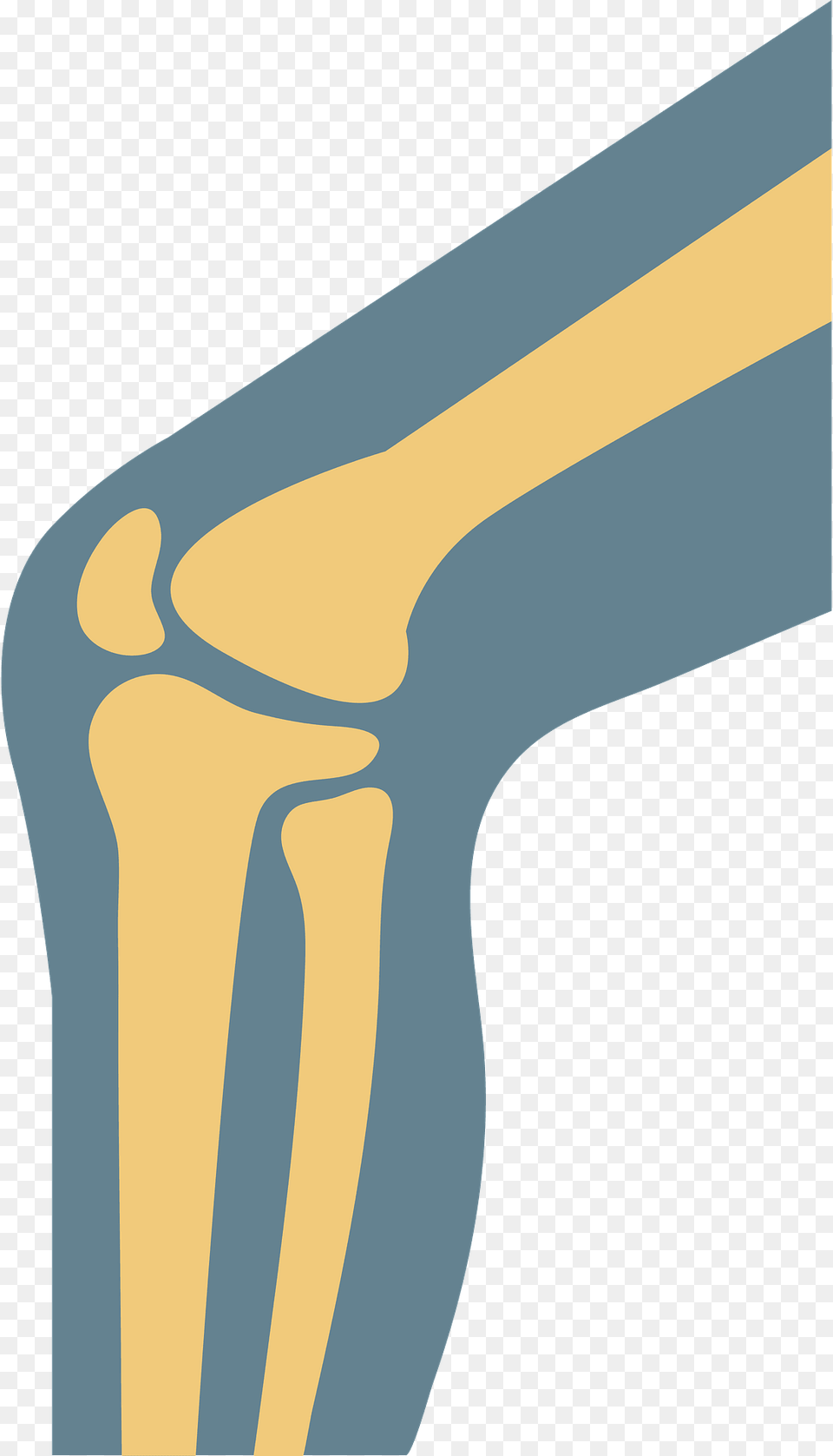 Knee Clipart Png