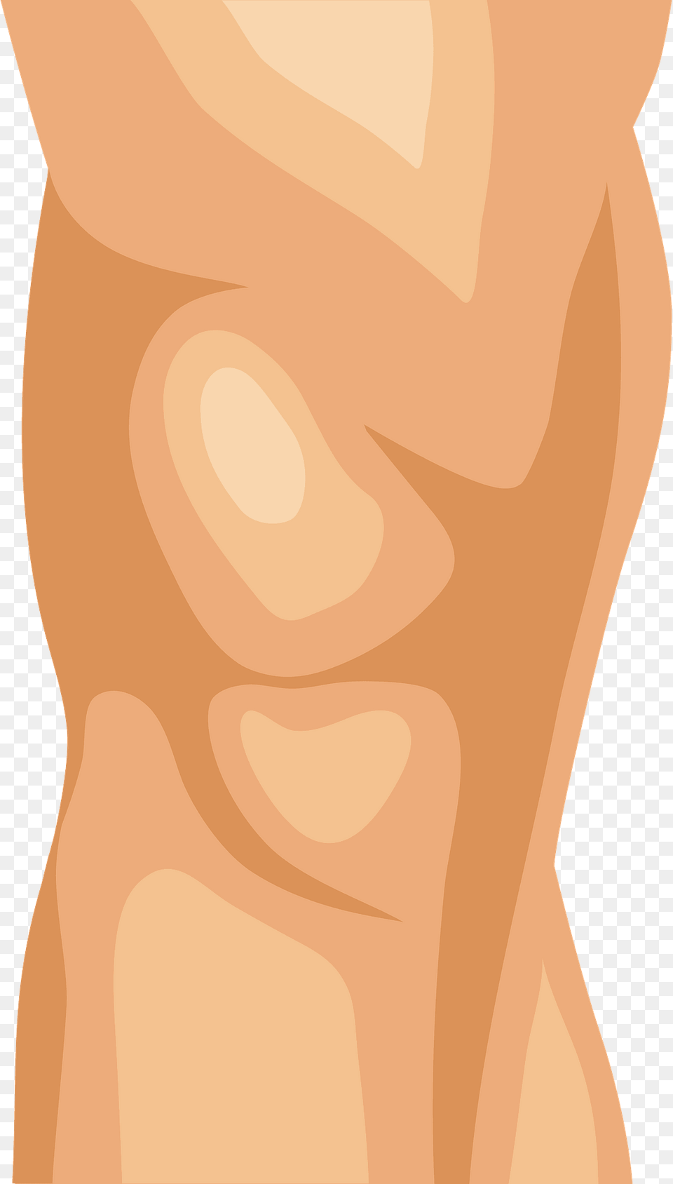 Knee Clipart, Body Part, Face, Head, Neck Png Image