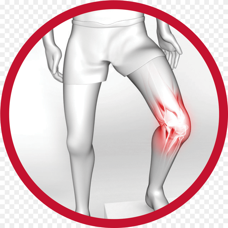 Knee Clipart Knee Cap, Adult, Female, Person, Woman Free Transparent Png
