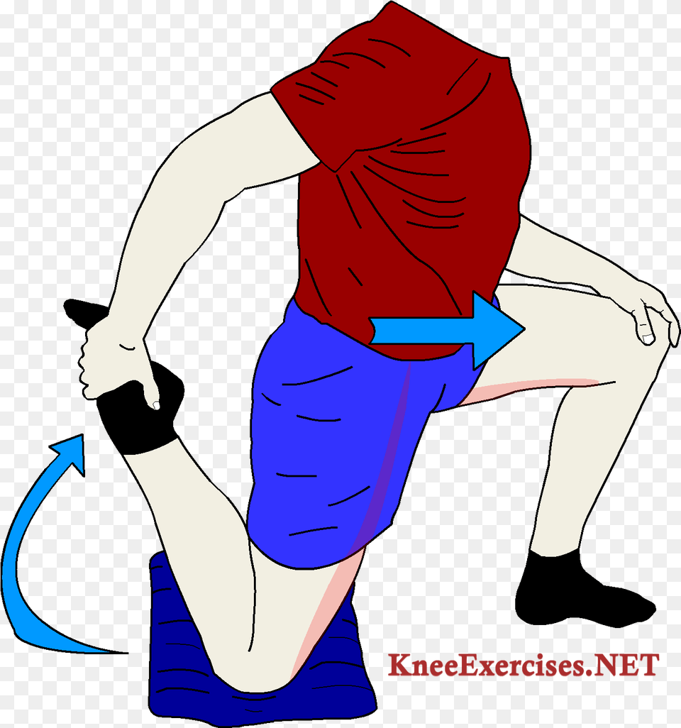 Knee Exercises Archives Knee, Adult, Female, Person, Woman Free Png Download