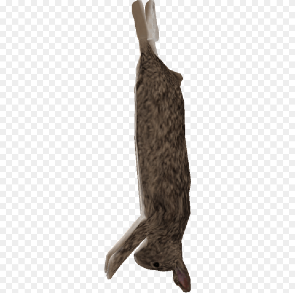 Knee High Boot, Animal, Mammal, Rabbit, Blade Free Transparent Png