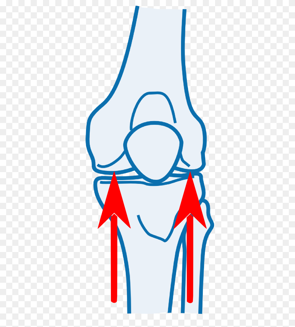 Knee Joint Orthopaedic Testing, Bow, Weapon Png