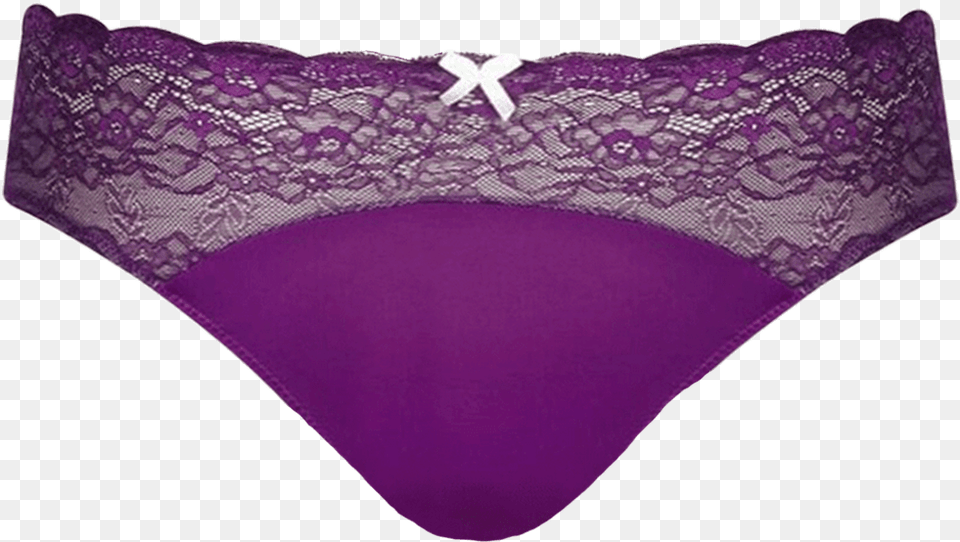 Knicker Purple Amp Sage Briefr28 2095purplesage Color, Clothing, Lingerie, Panties, Thong Png Image