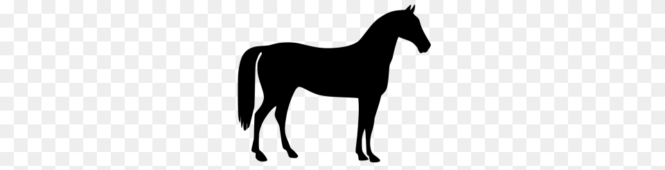 Knight Clip Art Download, Silhouette, Animal, Colt Horse, Horse Free Png