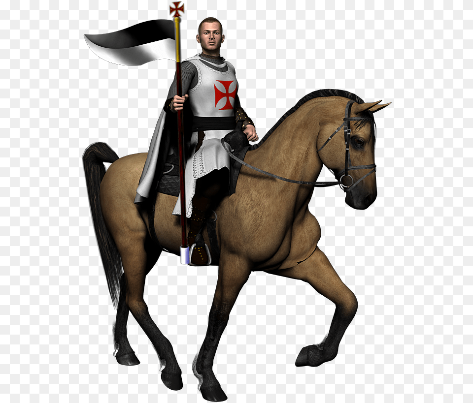 Knight Images Knight On Horse, Person, People, Animal, Equestrian Png Image