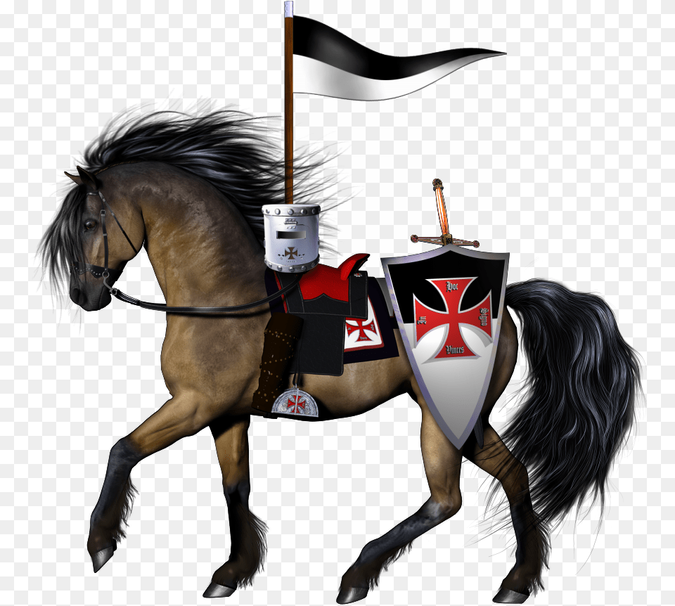 Knight Riding Horse Transparent, People, Person, Animal, Mammal Png Image