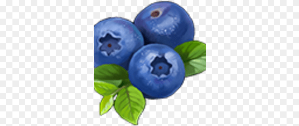Knights And Brides Wiki Bilberry, Berry, Blueberry, Food, Fruit Png