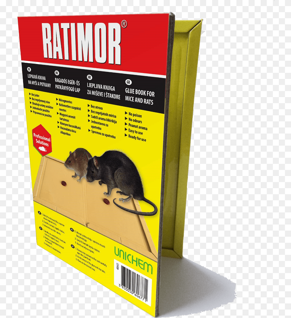 Knjiga Za Miseve, Animal, Mammal, Rat, Rodent Free Png Download