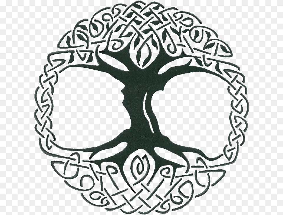 Knot Celts Sacred Trees Celtic Tree Of Life Vector, Emblem, Symbol, Accessories, Logo Png Image