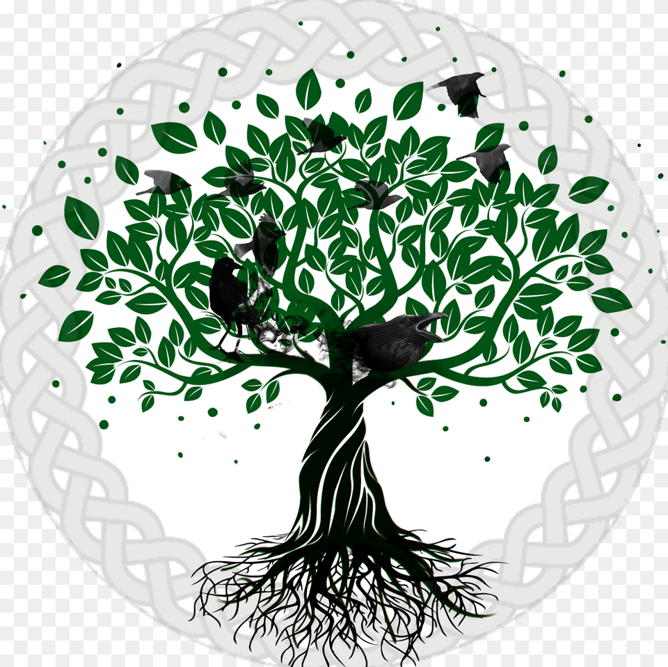 Knot Clipart Tree Life Of Tree Drawing Herbal, Herbs, Plant, Art Free Transparent Png