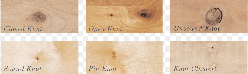 Knots Pin Knot In Wood, Hardwood, Lumber, Plywood, Floor Free Transparent Png