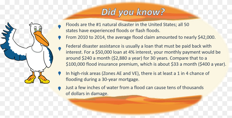 Know Your Flood Risk Pelican, Baby, Person, Animal, Bird Png Image