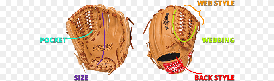 Knowledge Center Pocket In A Baseball Glove, Baseball Glove, Clothing, Sport Free Transparent Png