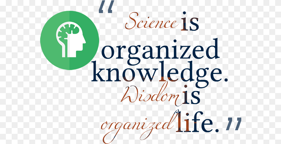 Knowledge Quotes Image Calligraphy, Text, Blackboard Free Png Download