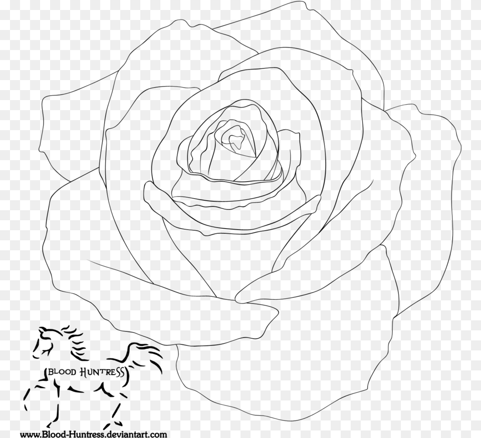Knumathise Realistic Rose Outline Digital Rose Art Drawing, Gray Free Transparent Png