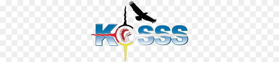 Ko Secondary School Services Keewaytinook Okimakanak, Animal, Bird, Flying, Waterfowl Free Png Download