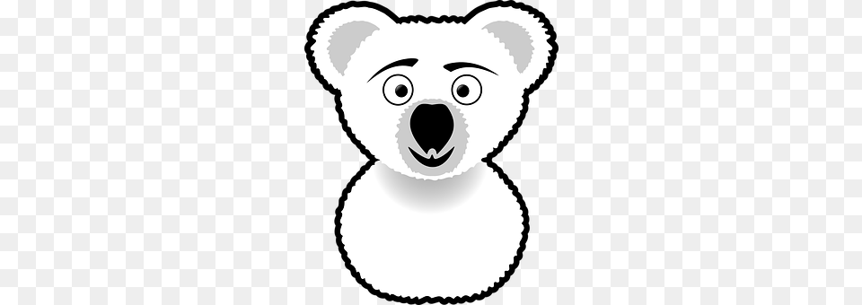 Koala Baby, Person, Face, Head Free Png