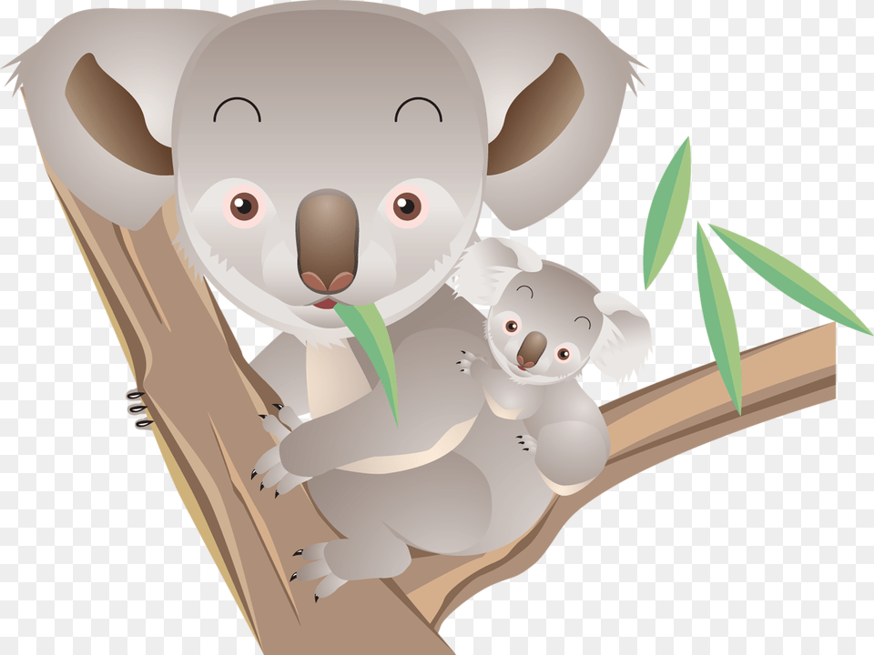 Koala, Animal, Mammal, Wildlife, Fish Png Image