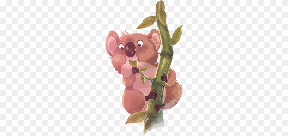 Koala, Animal, Mammal, Baby, Person Png