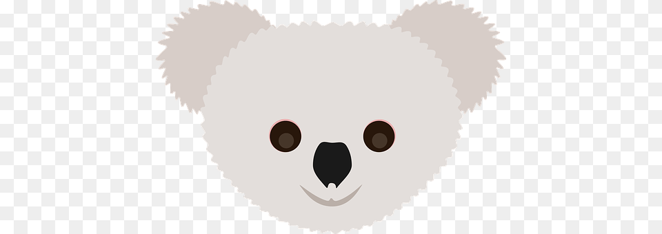 Koala Baby, Person, Animal, Mammal Free Transparent Png