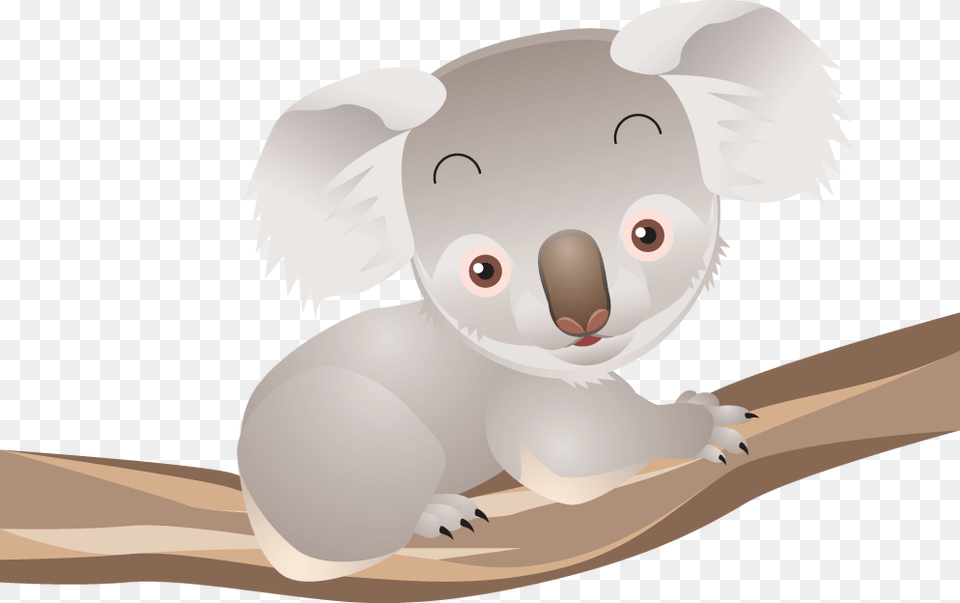 Koala, Animal, Mammal, Wildlife, Fish Png