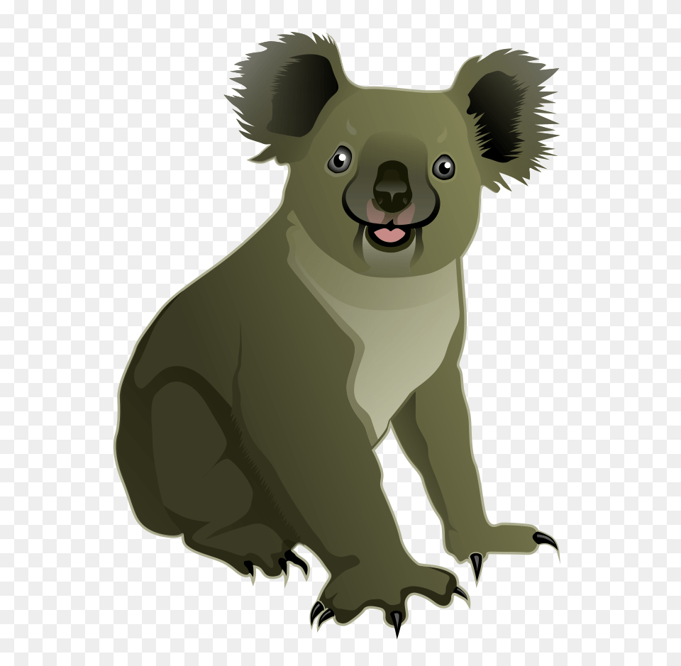 Koala, Animal, Wildlife, Bear, Mammal Png