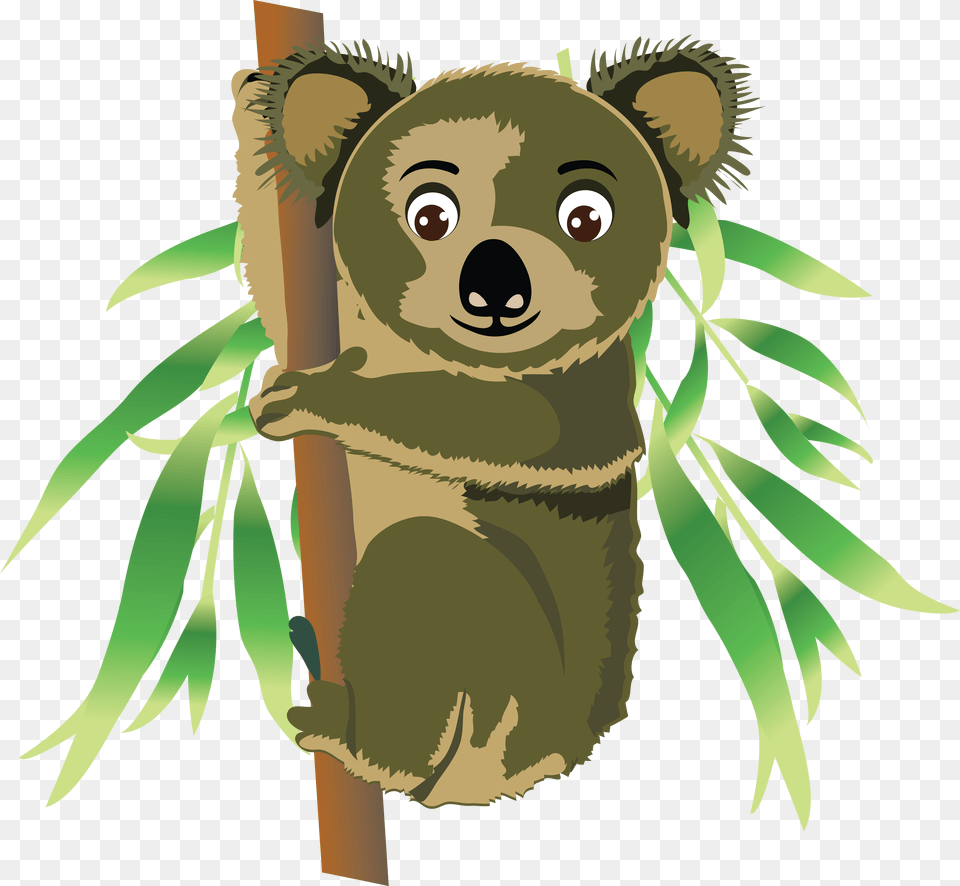 Koala, Animal, Wildlife, Mammal, Bear Free Png