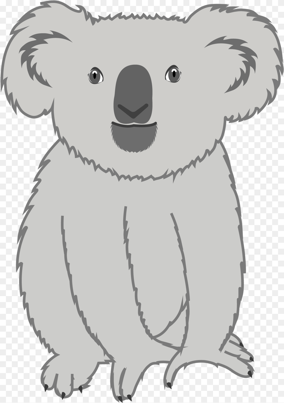 Koala, Baby, Person, Animal, Wildlife Free Transparent Png