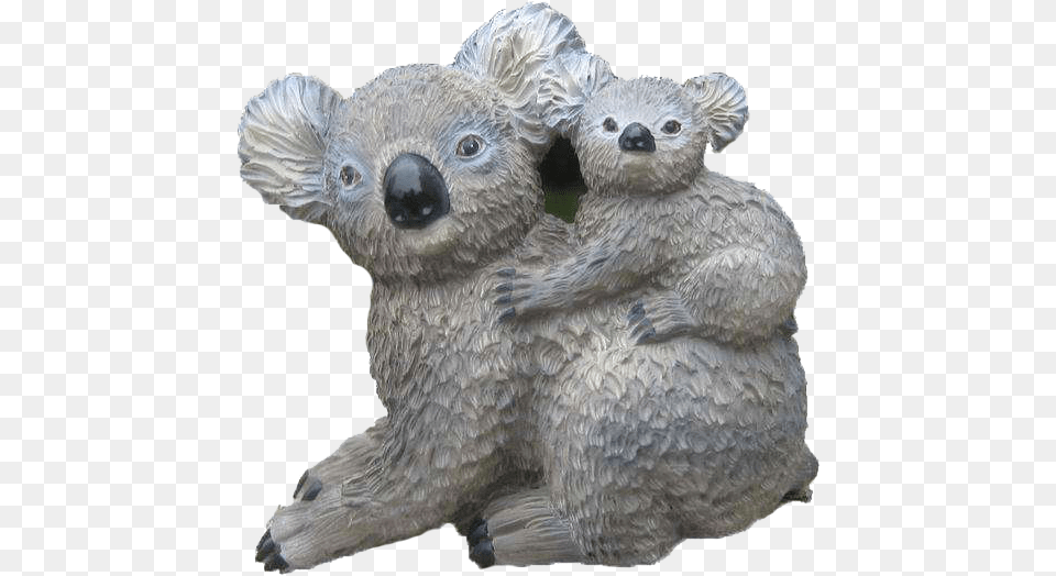 Koala, Animal, Wildlife, Bird, Mammal Free Transparent Png