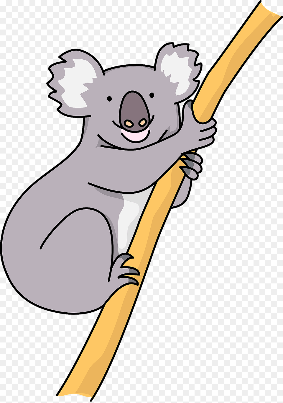 Koala Animal Clipart, Wildlife, Mammal, Baby, Person Free Png